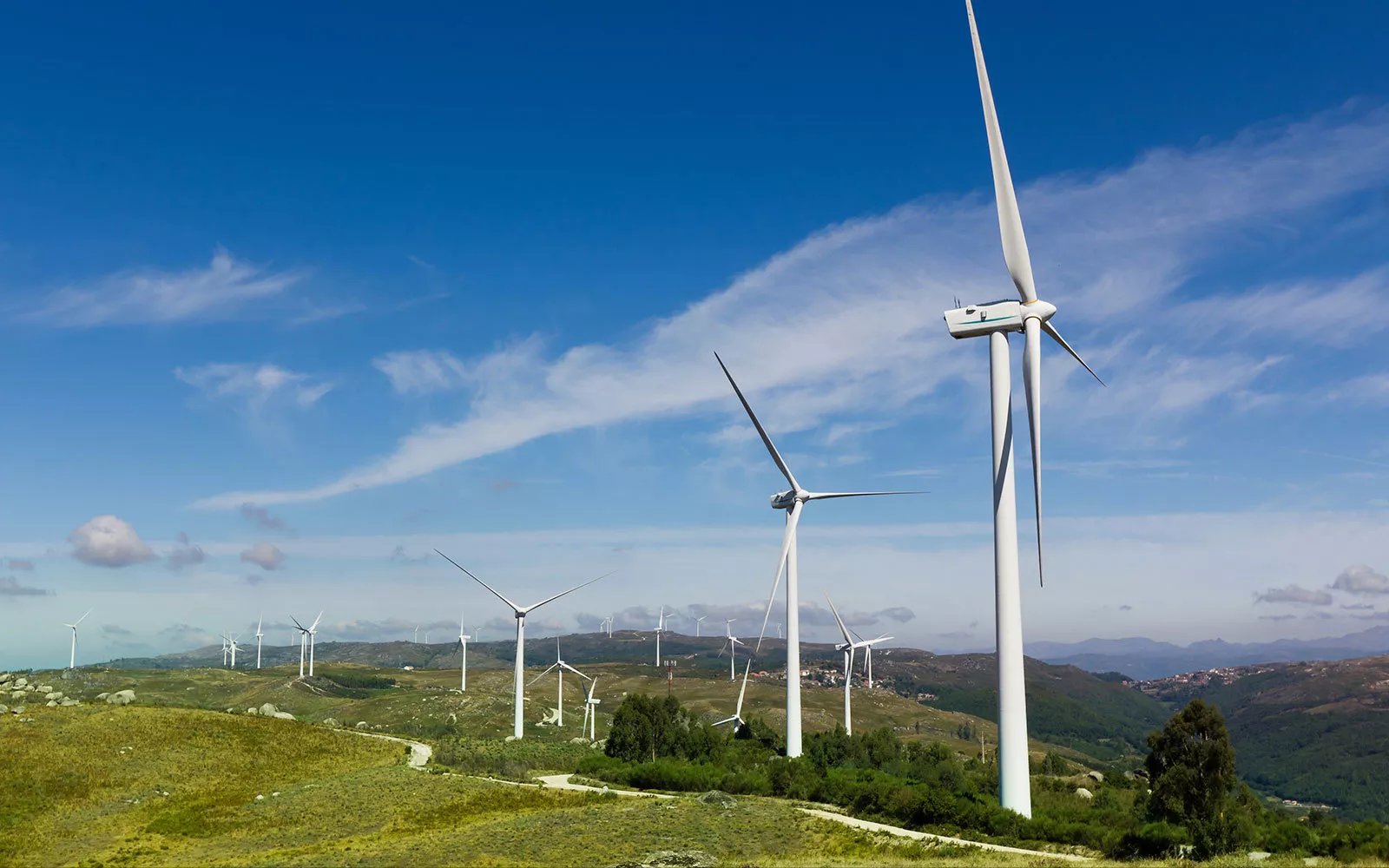 Nueva Energ&iacute;a